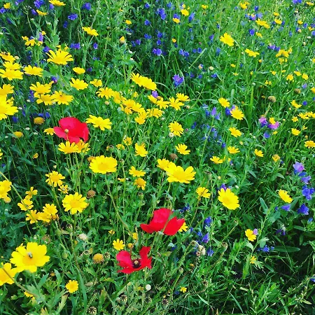 Chateau De La Coutere Frühstückspension