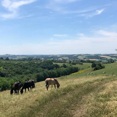 Chateau De La Coutere 4* Saint-Laurent (Haute-Garonne)