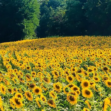 Frühstückspension Chateau De La Coutere