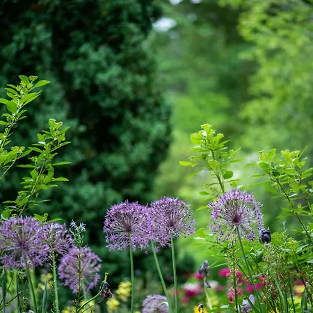 Chateau De La Coutere Bed & Breakfast