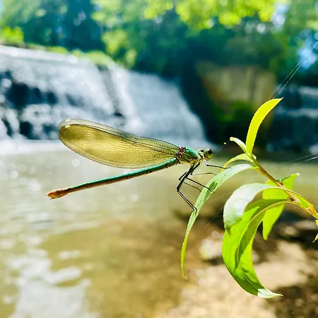 Frühstückspension Chateau De La Coutere