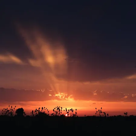 Chateau De La Coutere 4* Saint-Laurent (Haute-Garonne)