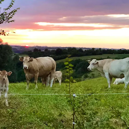 Chateau De La Coutere Frühstückspension 4*
